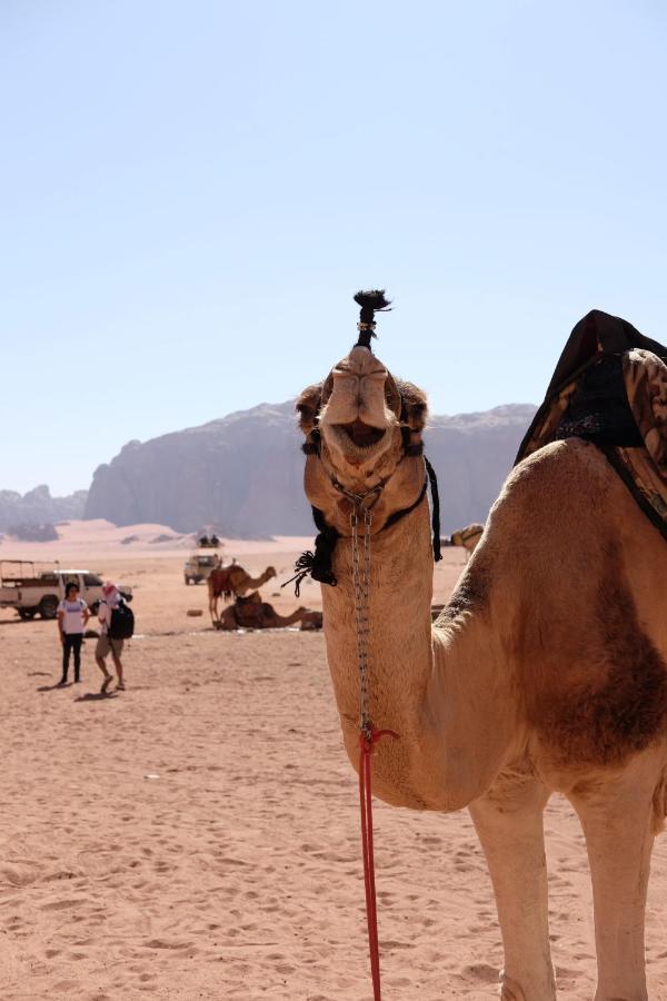 Wadirum Momoo Ουάντι Ραμ Εξωτερικό φωτογραφία